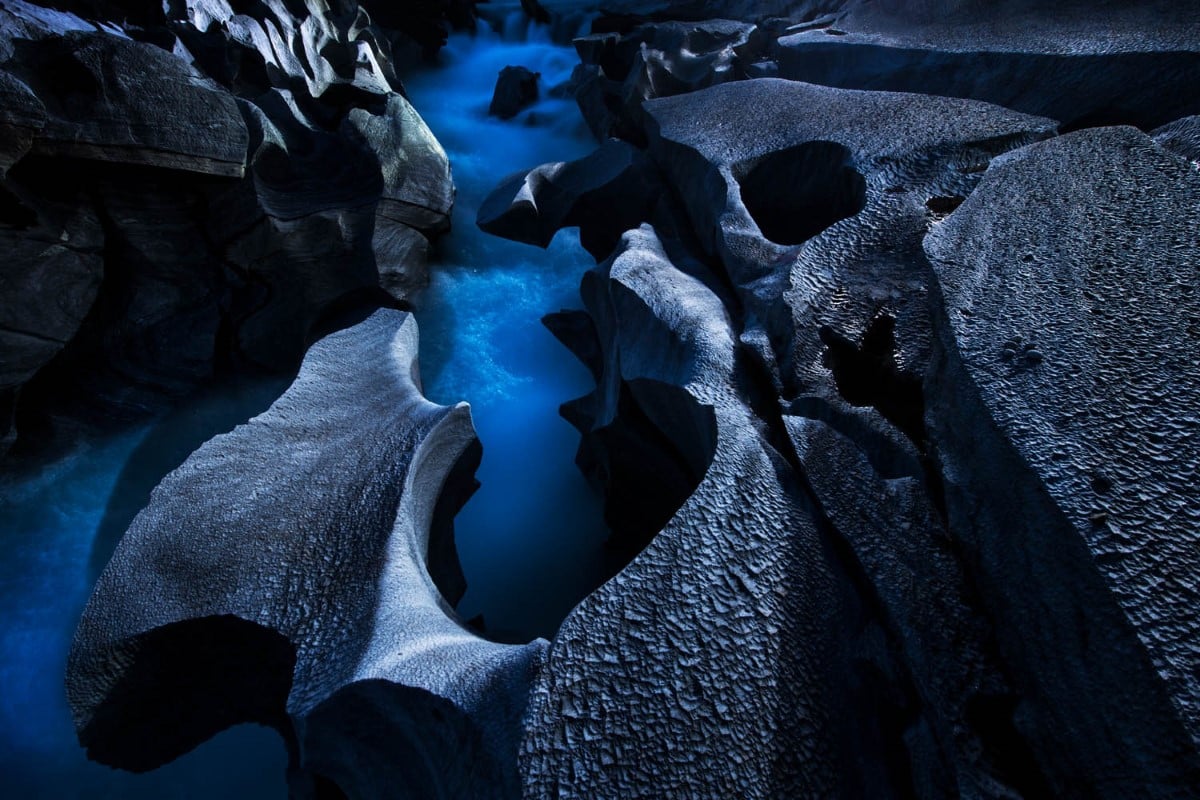 GDT Nature Photographer of the Year 2024